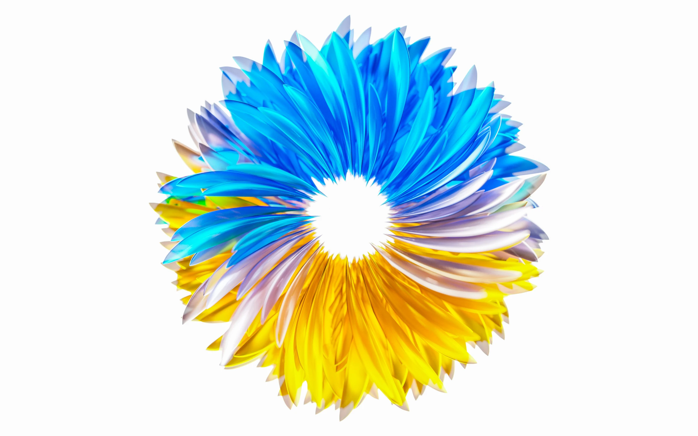 a circular design is created of many colorful feathers