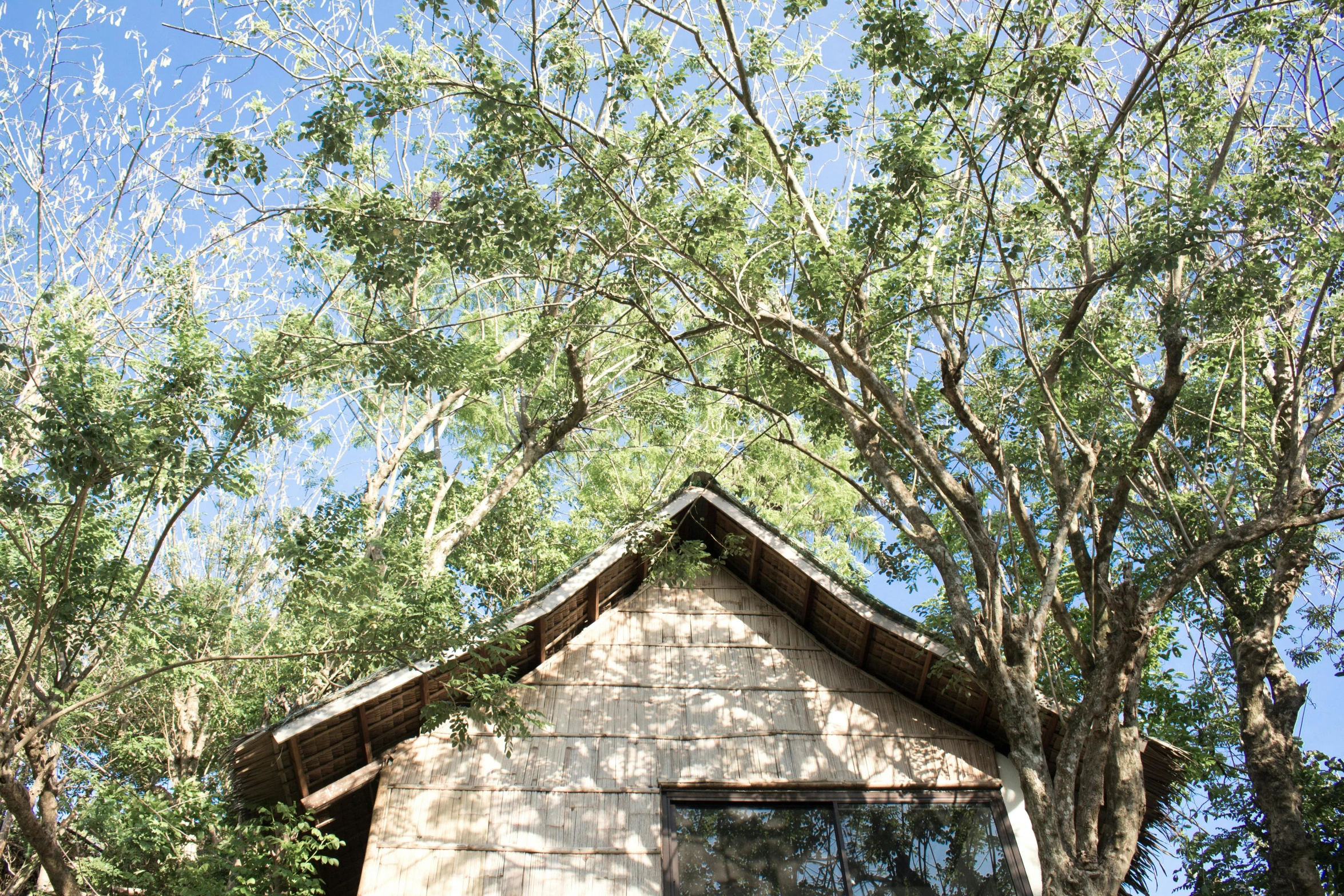 a building sits next to trees and bushes