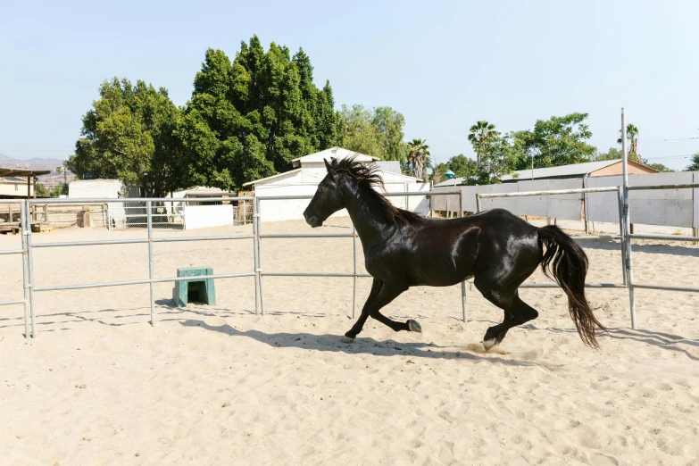 a black horse running in a corral