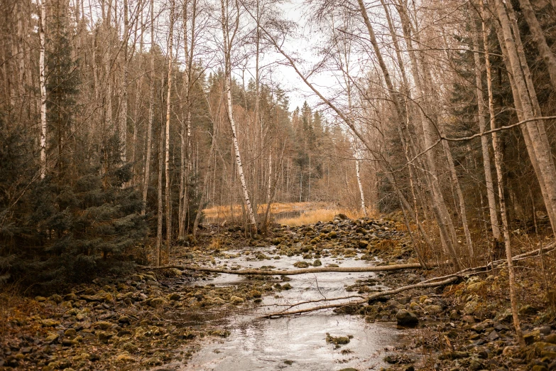 an area that is quite deserted and muddy