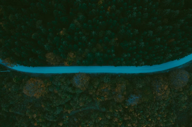 a river in the middle of trees surrounded by grass