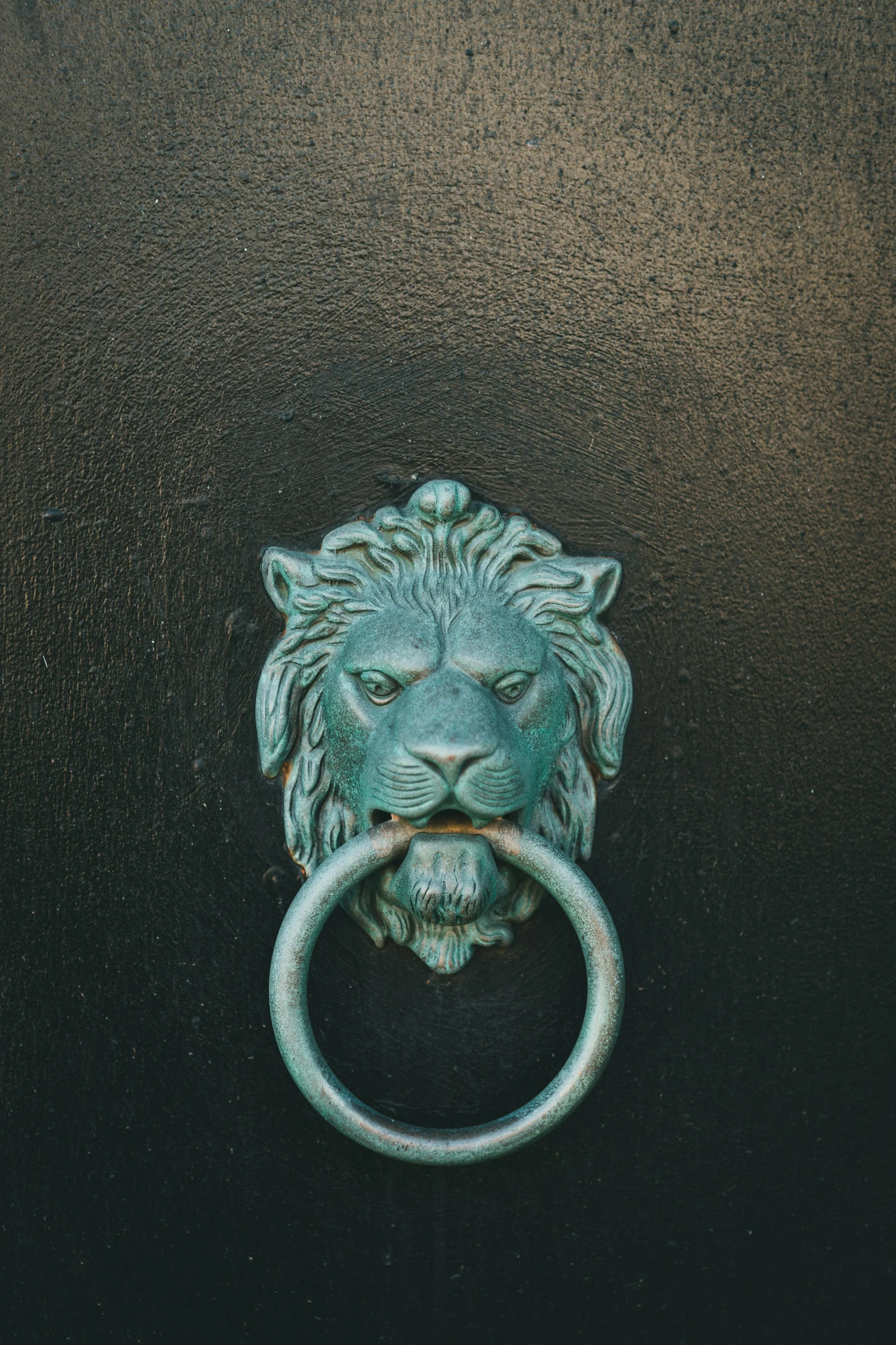 an animal head on a door knock