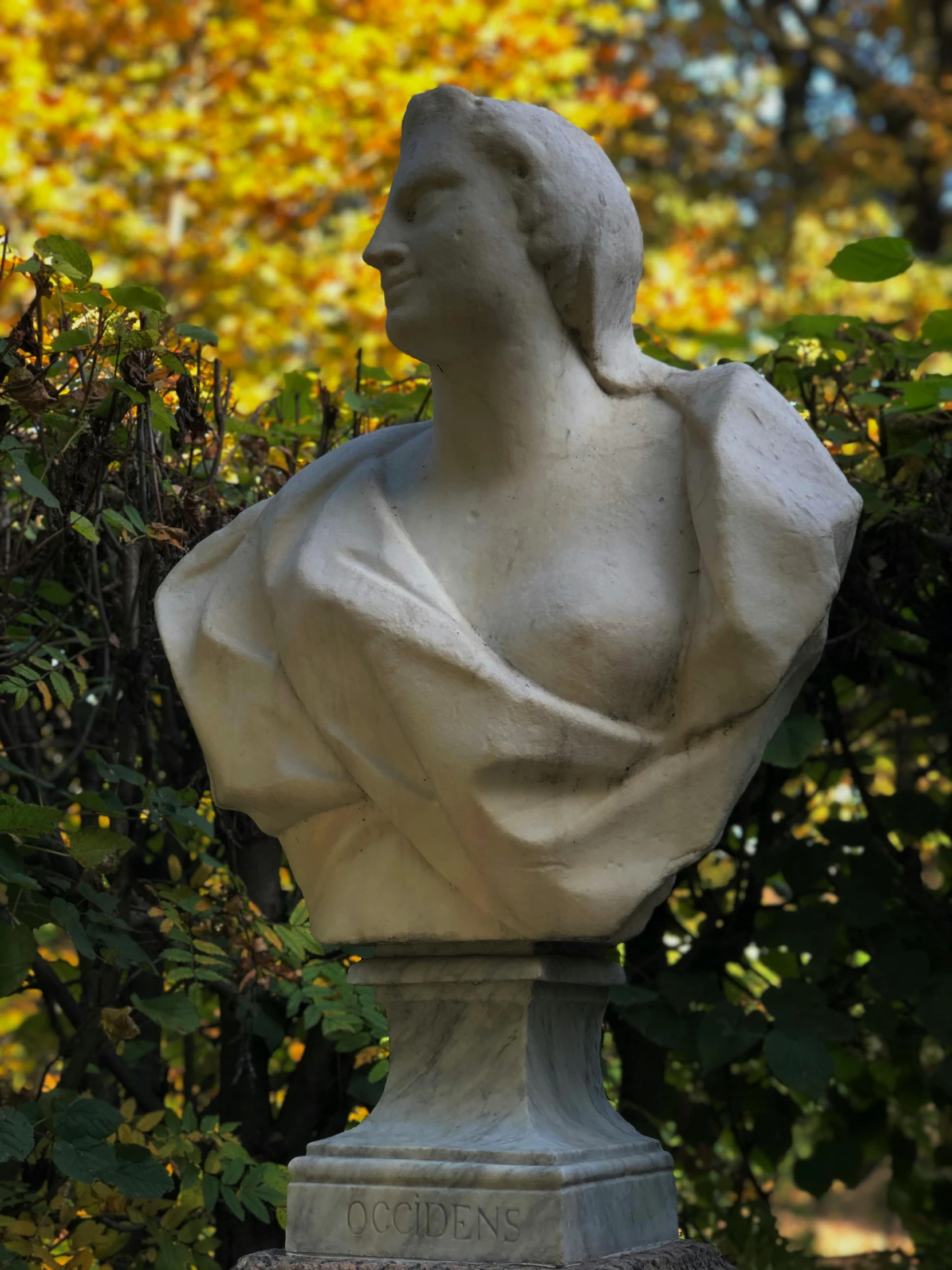 the statue of a man is in front of some trees