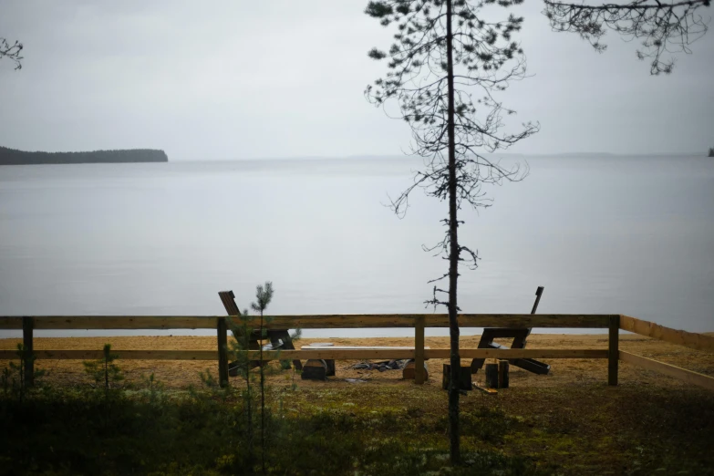 a bench is in the middle of a grassy area by a body of water