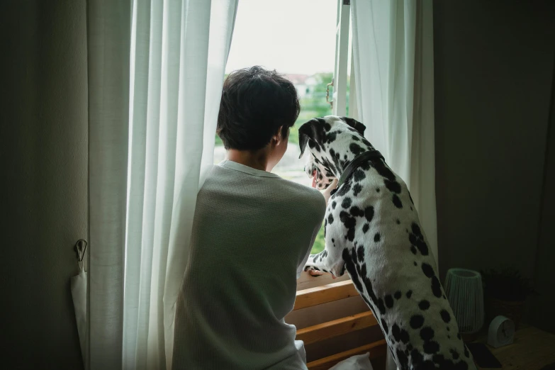 a young child is sitting in front of the window and petting a dalmation dog