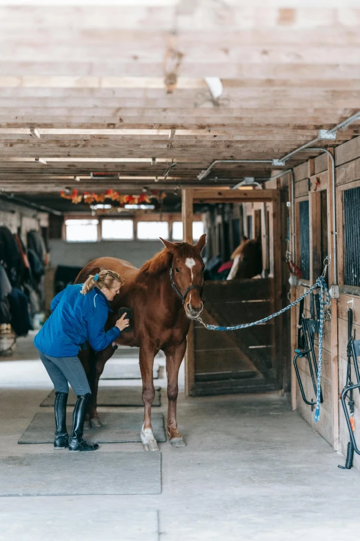 a woman leading a horse inside a stall