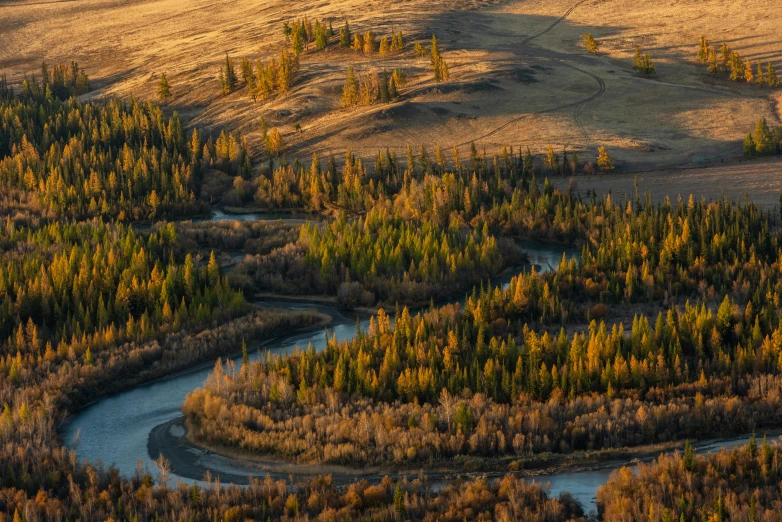 an aerial view of trees in the field and the river running by them