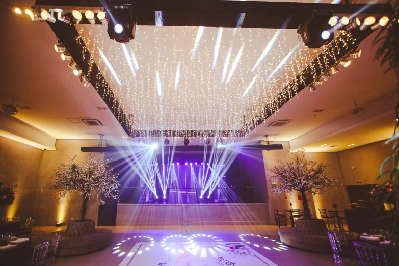 large room with several lights and plants with chandeliers in the ceiling