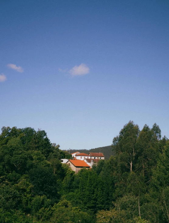 the house is in the background of the lush green forest