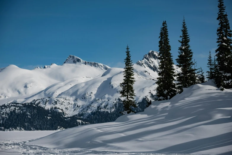 a person on some skis on snow covered ground