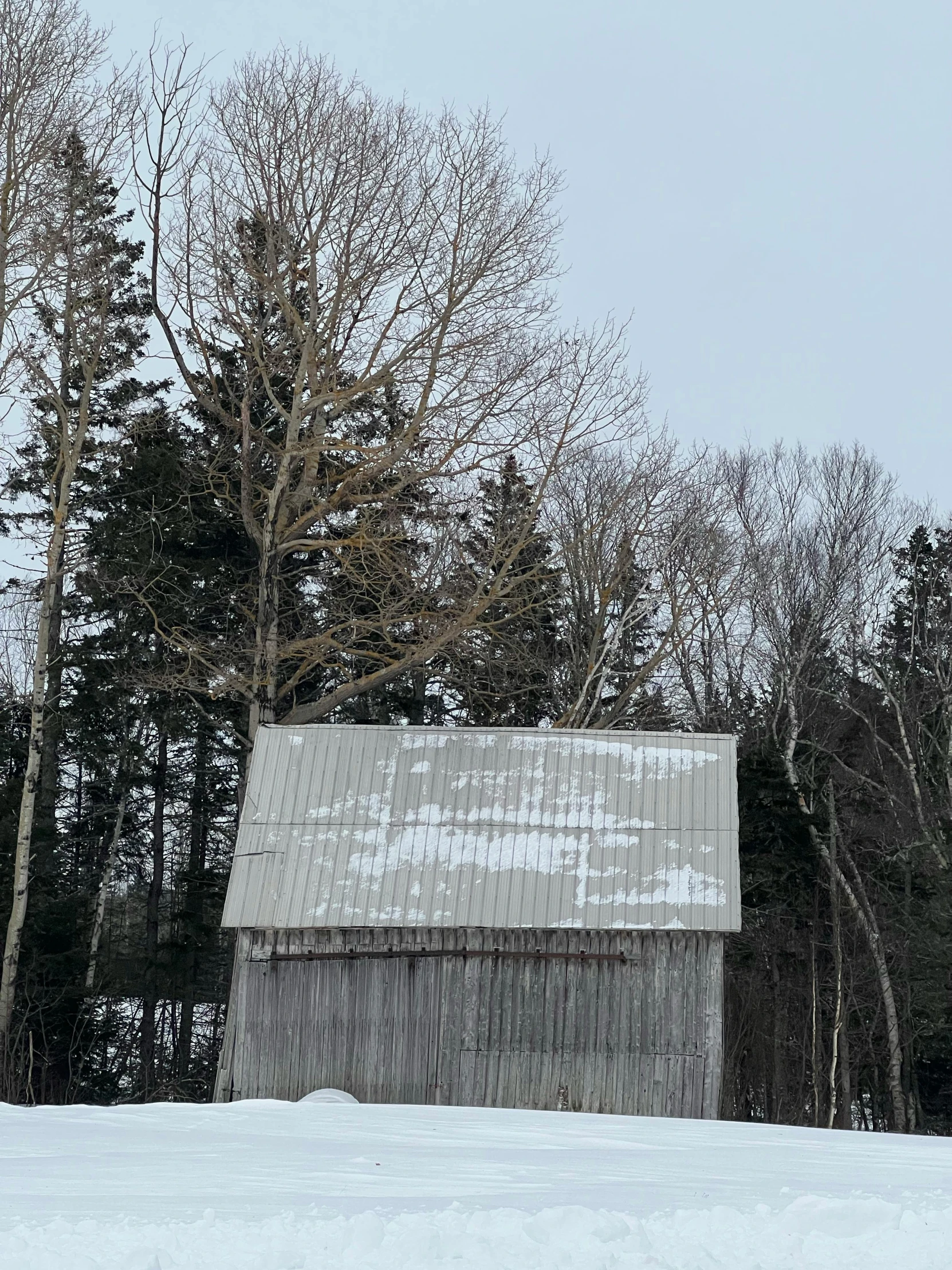 this cabin is on the top of a hill, it looks like it might fall or fall