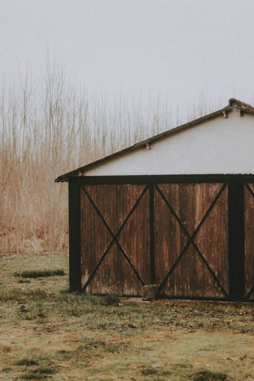 the shed is empty in front of a tall tree