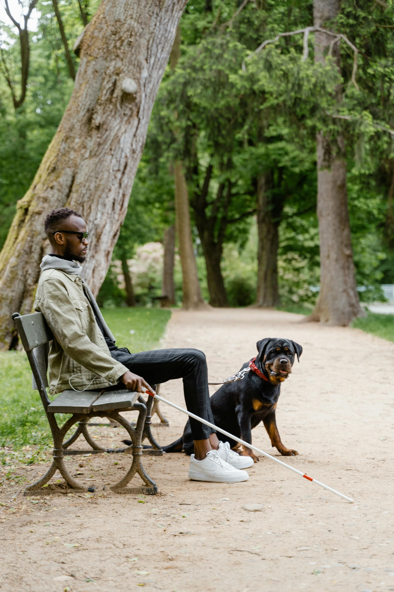 man in sunglasses sitting on bench with dog