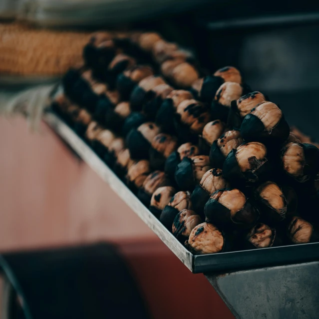 roasted acorns sit in a metal container