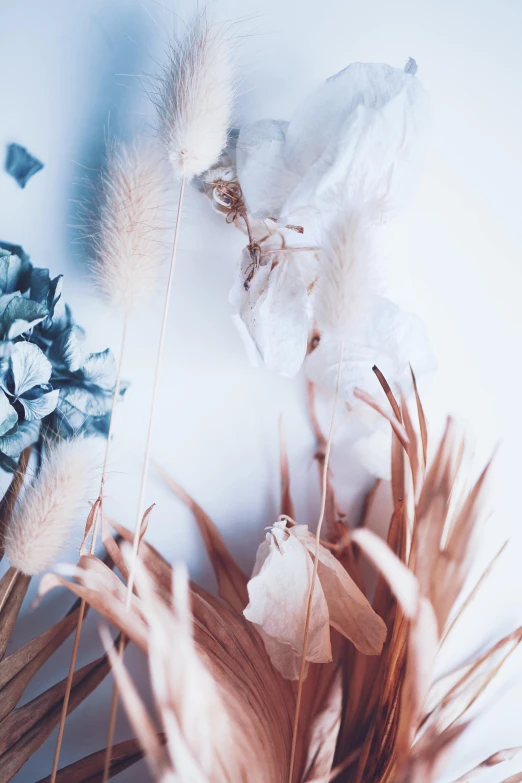 some feathers and pine cones next to snow flakes