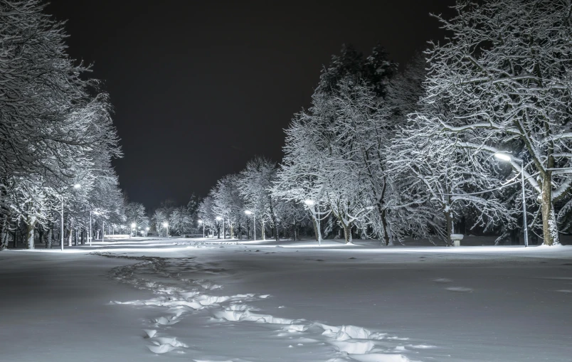 a snowy field and some trees at night