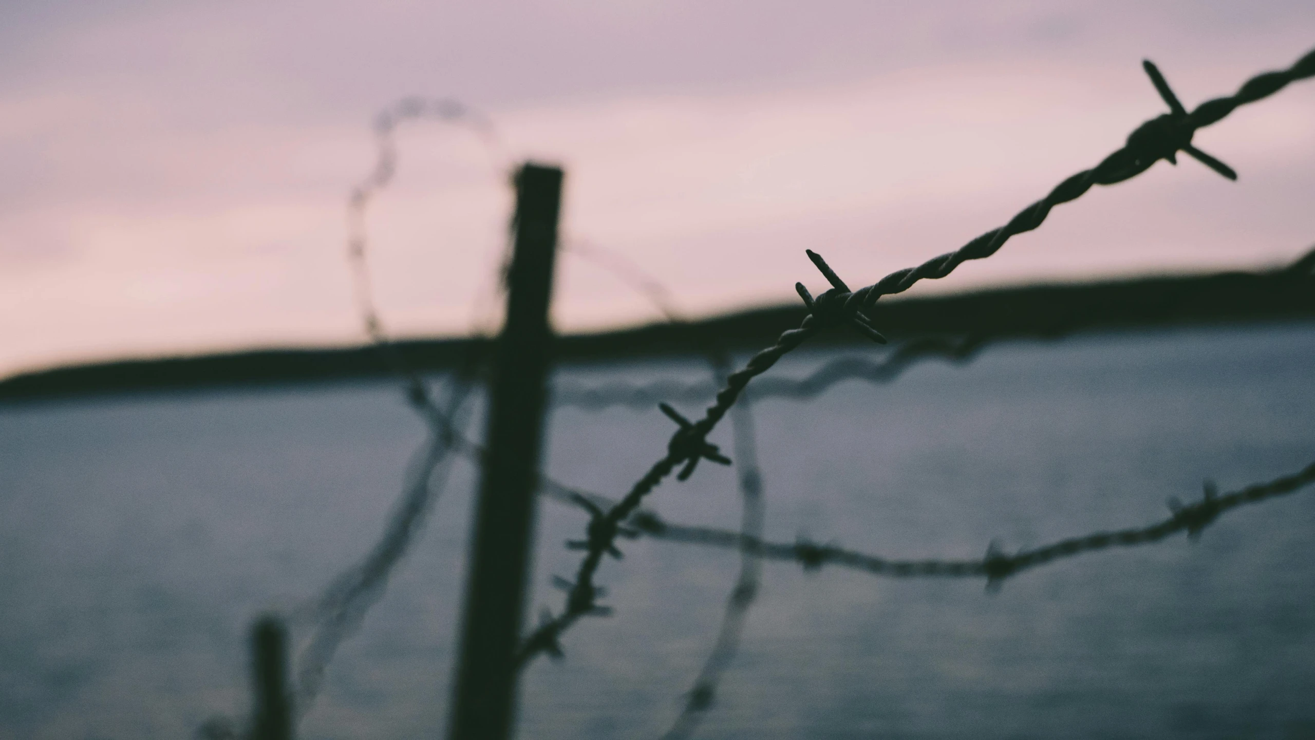 barbed wire next to the water during a sunset