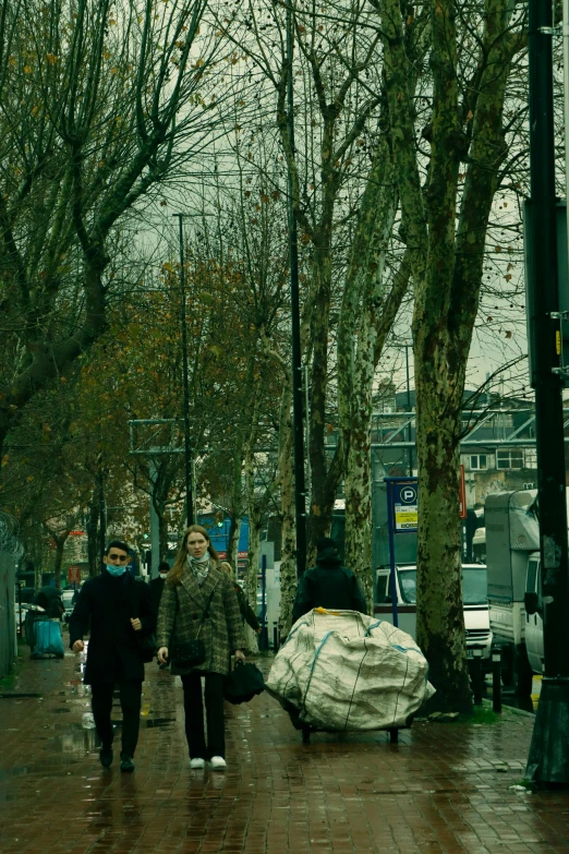 some people walking down the street near many trees