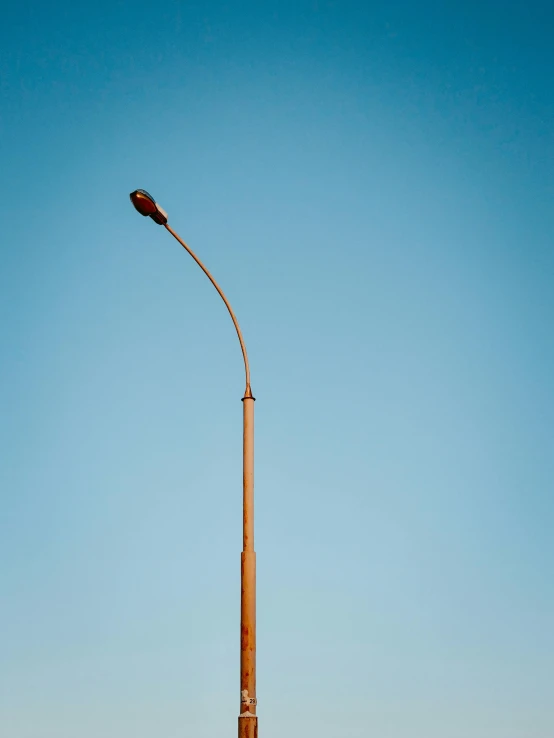 a tall street light with a bird perched on top of it