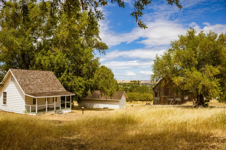 two white cabins are in the middle of a grassy area