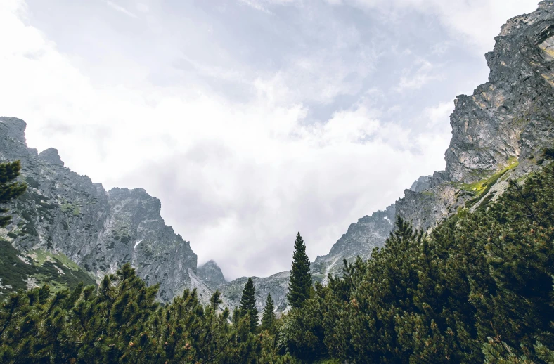 trees and mountains under cloudy sky with blue skies