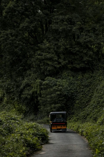 a bus traveling down a mountain road by the forest