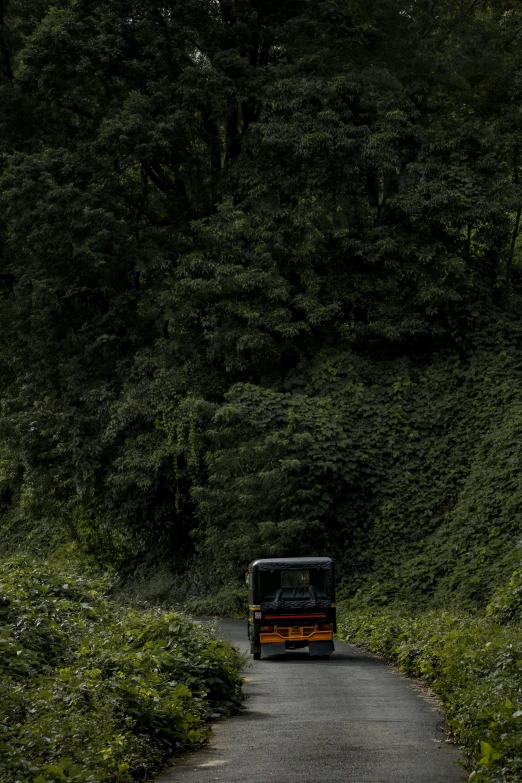 a bus traveling down a mountain road by the forest