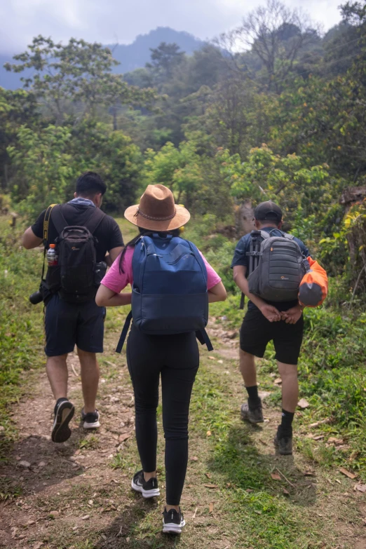 three men hiking through a lush green forest