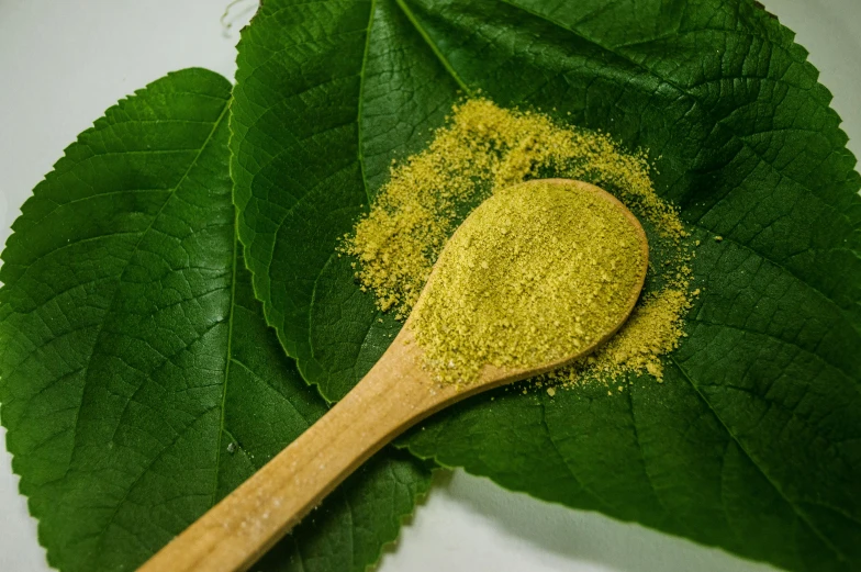 closeup view of a wooden spoon with a green powder next to leaves