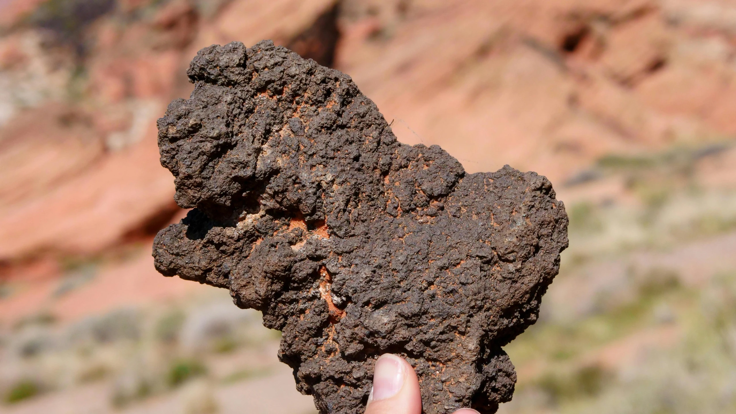 a hand is holding a rock with many small s