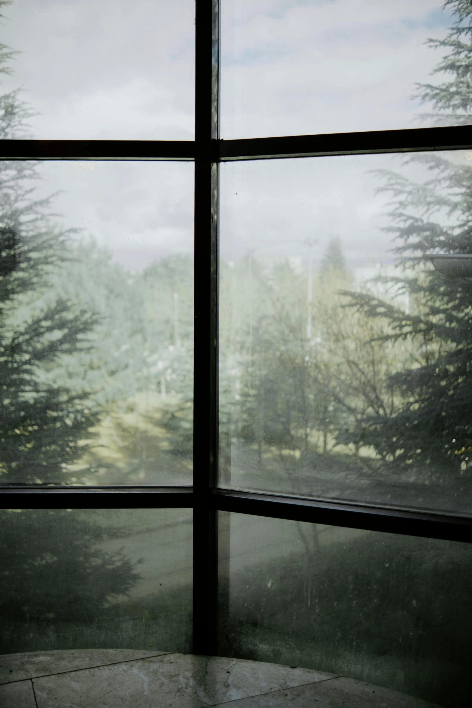 view through a glass window of trees out onto the countryside