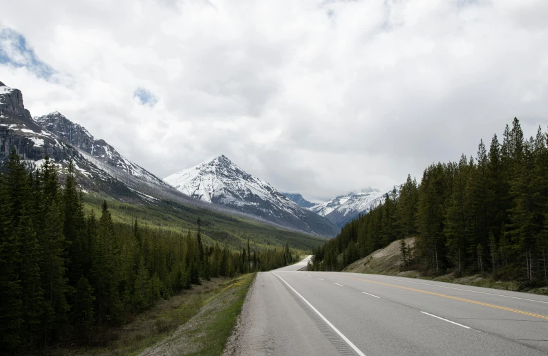 a long road runs between trees and the snow capped mountains