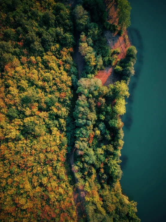 aerial po of autumn foliage and water in the area