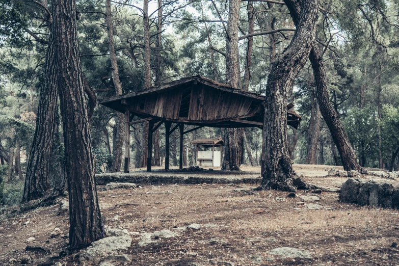 an old wooden shelter surrounded by a forest