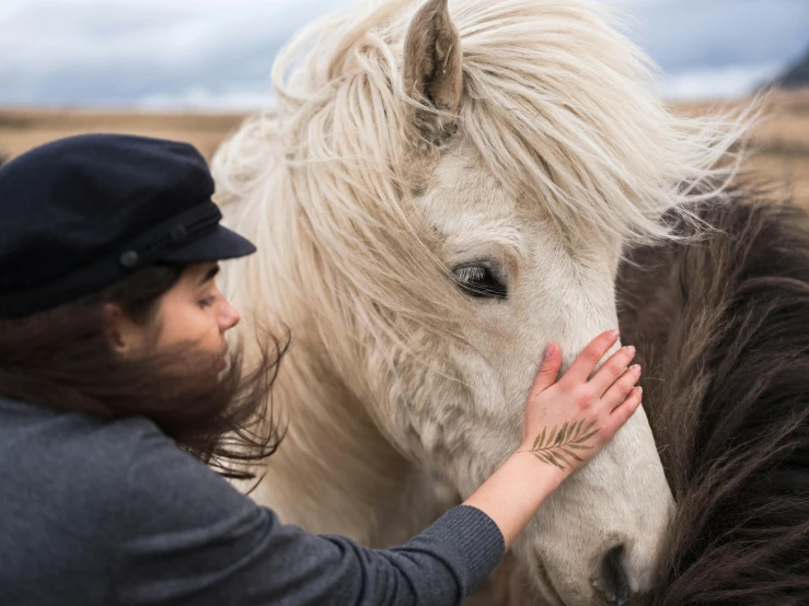 a white horse being petted by a woman