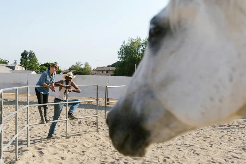 a horse leaning over a fence at a couple