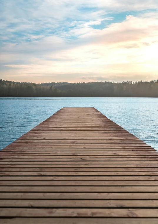 a dock extending to the water, near some trees