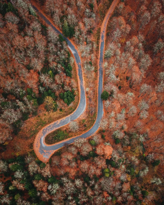 an aerial view of a winding road surrounded by forest