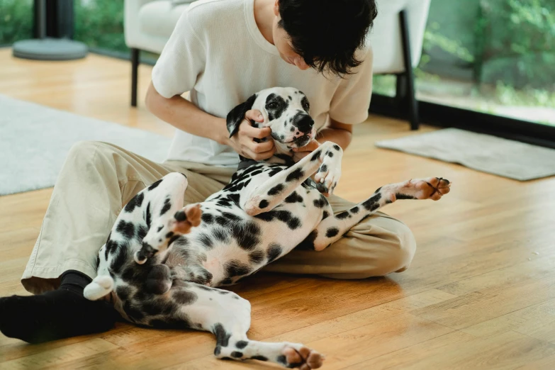 a person with a dog is sitting on the floor