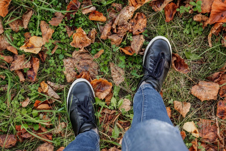 the feet of a person who is standing in a field full of leaves