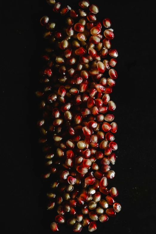 small food items are lined up on a table