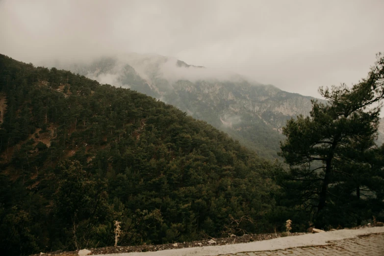 a cloudy mountainside with a path and trees