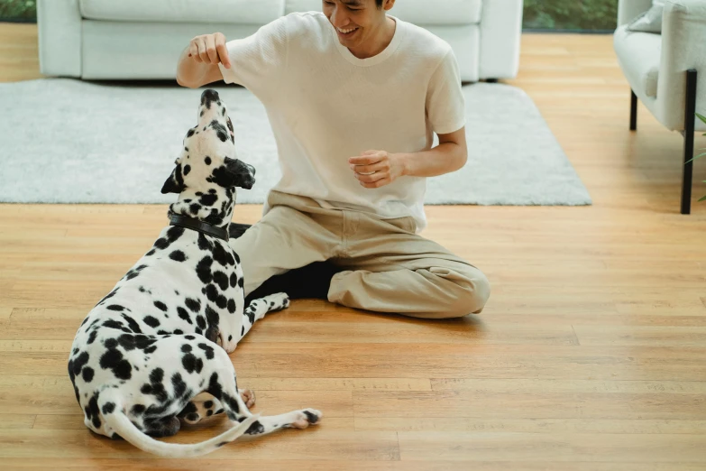 a man in a white shirt playing with a dalmatian dog