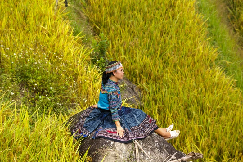 a woman in blue sits on an elephant surrounded by green foliage