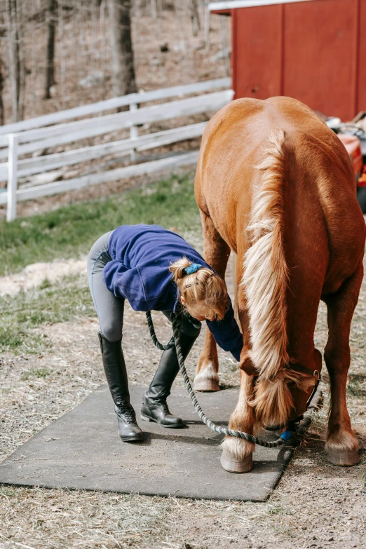 a horse wearing a sweater grazing in a pin