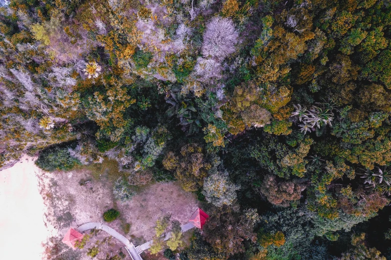 a bird - eye view of a park that has green and brown trees