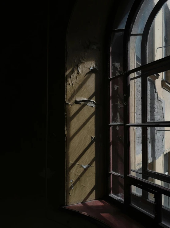 a window with birds standing in it