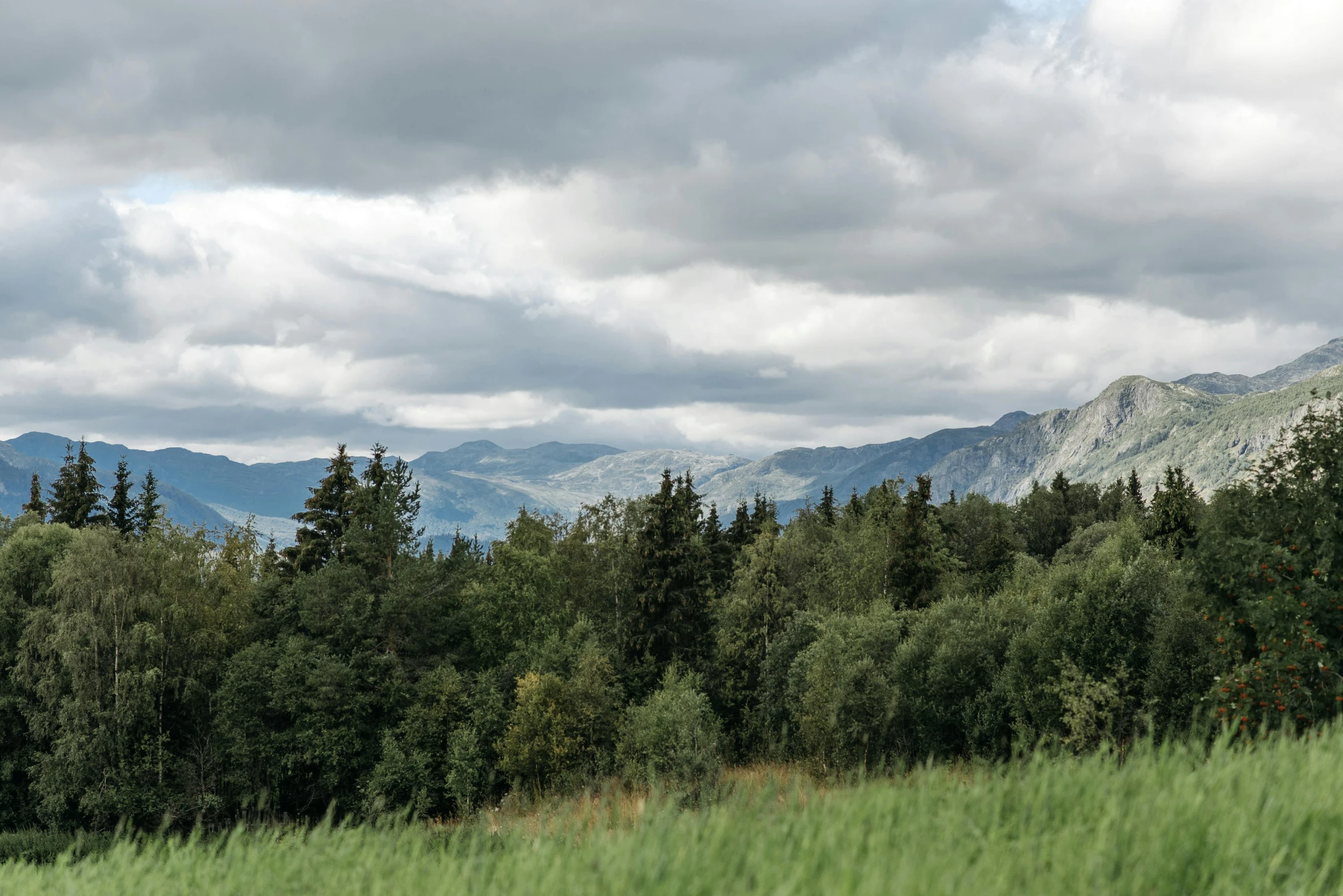 a large wooded area is seen with mountains in the background