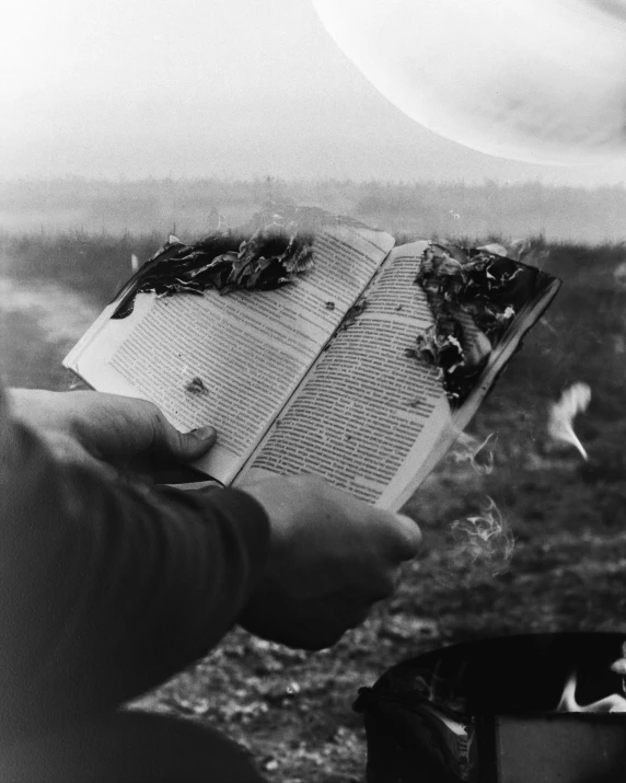 someone reading the book outdoors on an open day