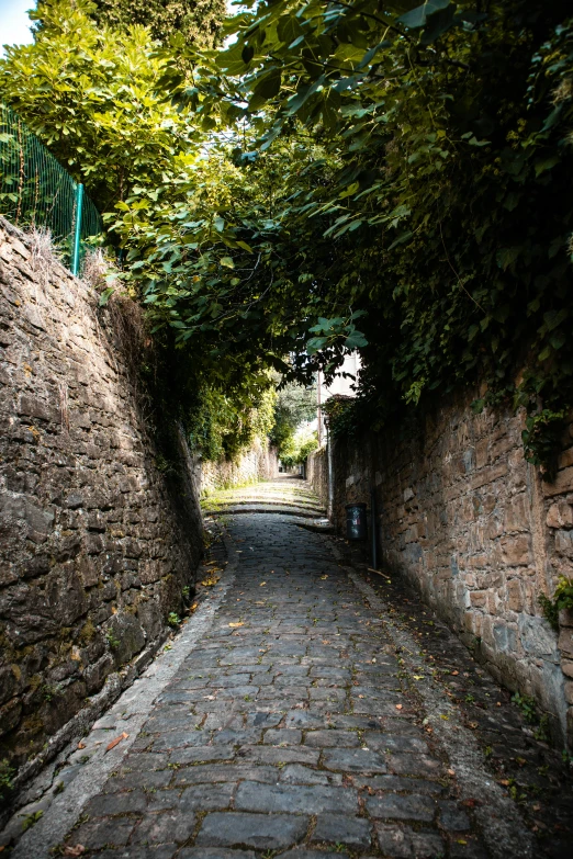 this is a narrow cobblestone path under trees